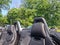 2016 Audi TT 2.0T Roadster quattro